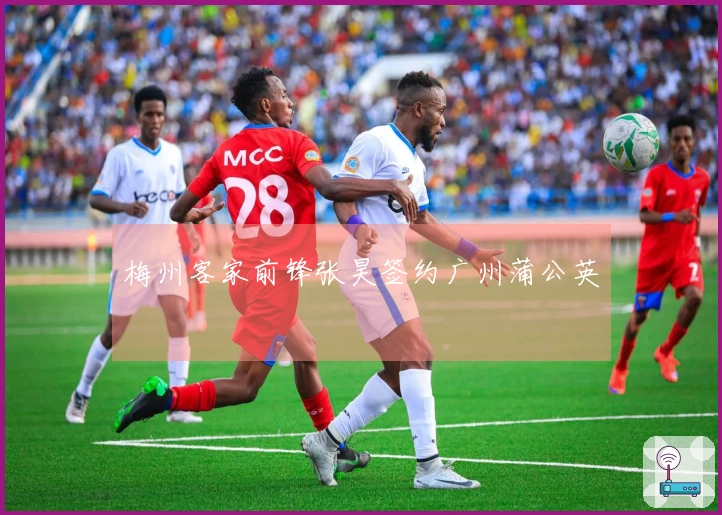 梅州客家前锋张昊签约广州蒲公英